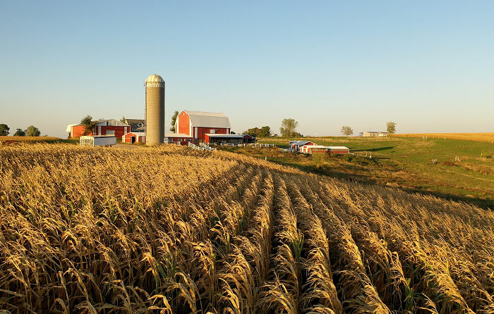 Rural farmland